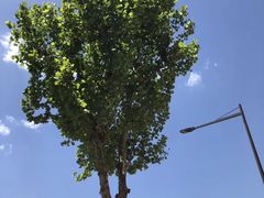 -方恒购物中心(望京小街店)