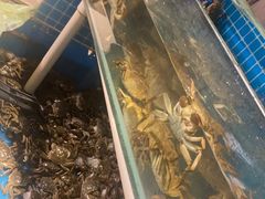 -星伦多自助料理(花山金鹰店)