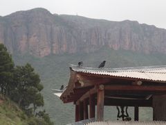 -达仓郎木寺院