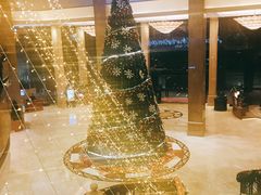 -成都天府丽都喜来登饭店