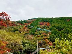 -博山九龙峪风景区