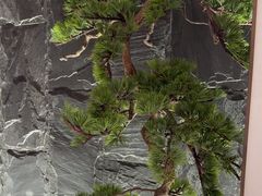 -城北食府(枫林店)