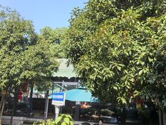 -听风阁农家私房菜茶楼(龙坞店)