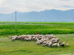-敕勒川草原文化旅游区