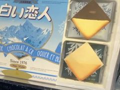 -关西国际机场直营免税店