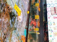 门面-九號渔港·蒸汽海鲜·粤菜茶点(八卦岭店)