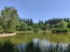 -将府公园