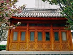 -中国中医科学院望京医院(院本部)