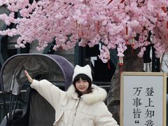 -武汉知音号