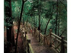 -南宁良凤江国家森林公园