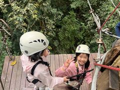 -西双版纳原始森林公园