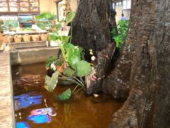 -大树头·花园餐厅(市桥店)
