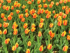 -长春公园(普阳街道)