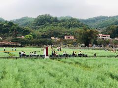 -红山村