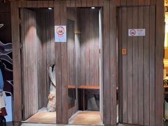 -暴风岛沉浸式体验馆(百联世纪店)