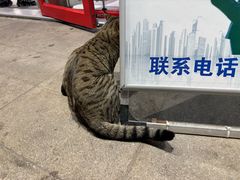 -盒马鲜生(王府广场店)