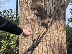 -杭州张苍水先生祠