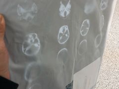 -首都医科大学附属北京天坛医院