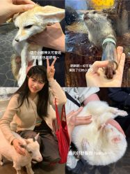 -Zoolung Zoolung动物主题公园(海信广场店)