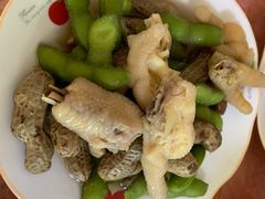 -南汇老顾农家乐采摘大团水蜜桃采摘店