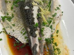 -肥妈顺峰山庄(金峰店)