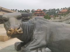 -广东圆玄道观