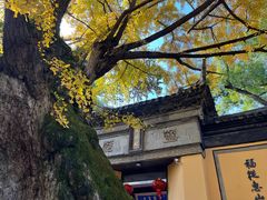 -无锡惠山寺