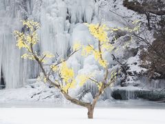 -少华山国家森林公园