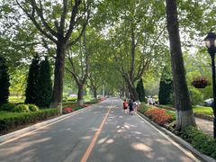 -棒棰岛宾馆景区