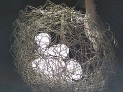-莽子老火锅(大坪店)