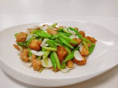 -爱月宝月嫂·育儿嫂