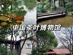 -中国茶叶博物馆(双峰馆区)