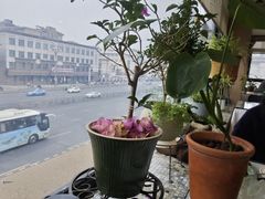 -观塘港茶餐厅(八一大道店)