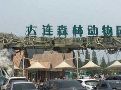 -大连森林动物园