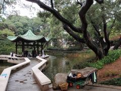 -九龙公园