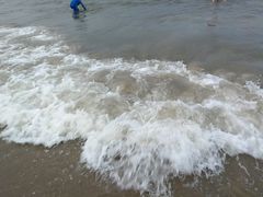 -南戴河海滨市场