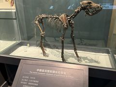 -大庆市博物馆