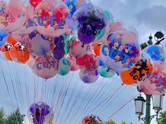 -上海迪士尼度假区