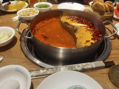 -青瓷火锅料理(西单大悦城店)