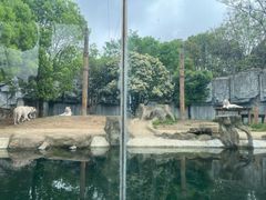 -常州淹城野生动物世界