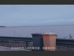 -巢湖姥山岛