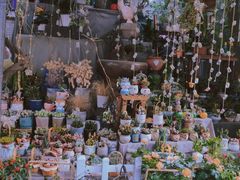 -循礼门鲜花花市(武汉循礼门店)