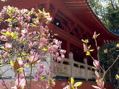 -飞霞风景名胜区