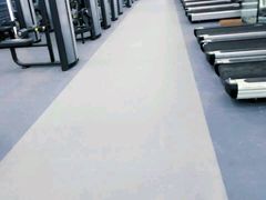 -金吉鸟健身游泳