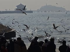 -青岛海滨风景区