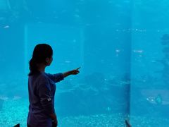 -海棠湾洲际-涛·海底餐厅·美人鱼·自助餐·海底隧道