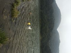 iphone_upload_pic-广州市石门国家森林公园