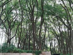 -上海方塔园