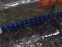 -陇南批发市场
