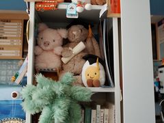 -冰椰岛椰冰(亚龙湾店)